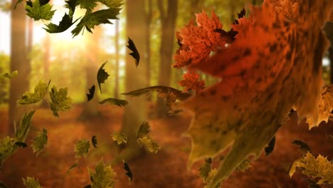 Animation-Von-Blattsymbolen-über-Wald--Und-Lichtwegen