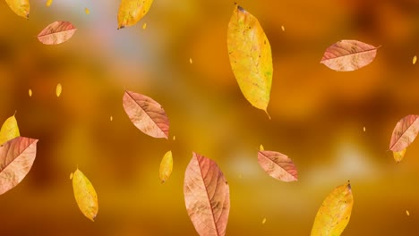 Animation-of-leaves-icons-over-blurred-background