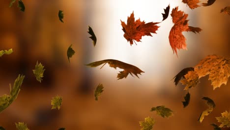Animation-Von-Herbstblättern,-Die-über-Den-Herbstparkhintergrund-Fallen