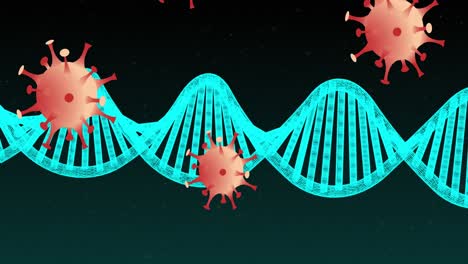 Animation-Von-Sich-Bewegenden-Covid-19-Zellen-Und-Sich-Drehendem-DNA-Strang