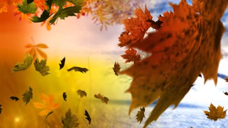 Animation-of-leaves-icons-over-autumn-and-winter-trees