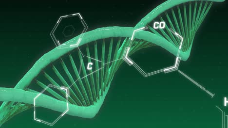Animation-Chemischer-Strukturen-über-Einem-DNA-Strang,-Der-Sich-Auf-Grünem-Hintergrund-Dreht