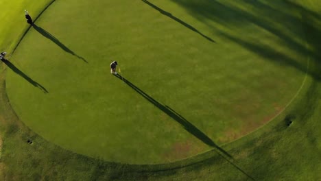 Dos-Jugadores-De-Golf-Masculinos-Diversos-Jugando-Al-Golf-En-El-Campo-De-Golf-En-Un-Día-Soleado