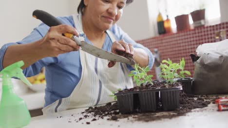 Smiling-senior-biracial-woman-wearing-apron-and-gardening-in-kitchen-alone