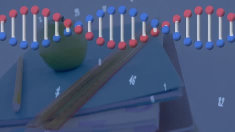 Animation-Des-Sich-Drehenden-DNA-Strangs-Mit-Einem-Globalen-Netzwerk-Von-Verbindungen