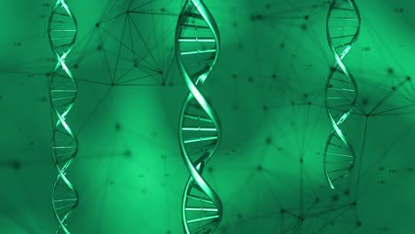 Animation-Von-DNA-Strängen-über-Ein-Netzwerk-Von-Verbindungen-Auf-Grünem-Hintergrund