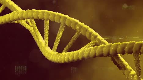 Animation-Der-Interferenz-über-DNA-Strang-Und-Lichtflecken-Auf-Rotem-Hintergrund