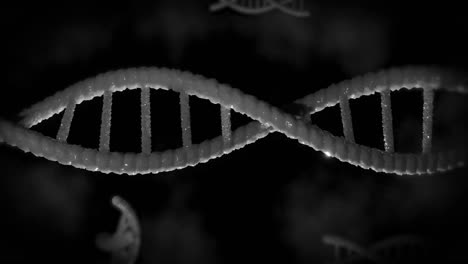 Animation-Von-DNA-Strängen-Auf-Schwarzem-Hintergrund