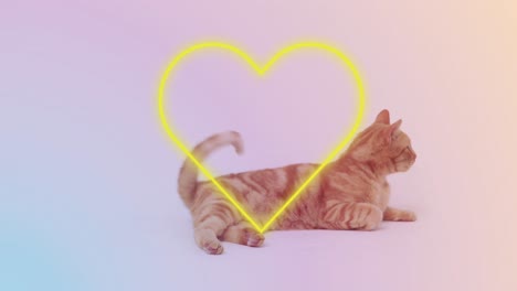 Animation-of-falling-hearts-icon-over-ginger-cat