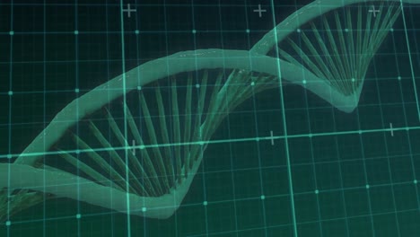Digitale-Animation-Eines-Gitternetzes-über-Einer-Sich-Drehenden-DNA-Struktur-Vor-Blauem-Hintergrund