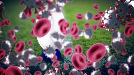 Animation-Von-Covid-19-Viruszellen-über-Rugbyball