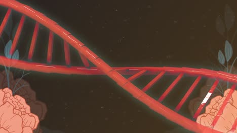 Animation-Von-DNA-über-Rosen-Auf-Schwarzem-Hintergrund
