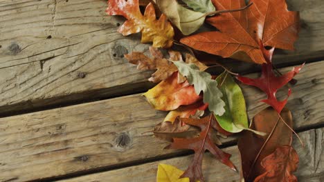 Video-of-wreath-made-of-fall-leaves-lying-on-wooden-background