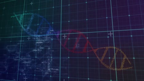 Digitale-Animation-Des-Gitternetzes-über-Bunter-DNA-Struktur-Vor-Blauem-Hintergrund