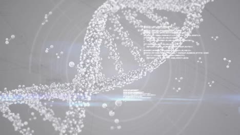 Digitale-Animation-Von-DNA-Und-Molekularen-Strukturen-über-Die-Datenverarbeitung-Vor-Grauem-Hintergrund