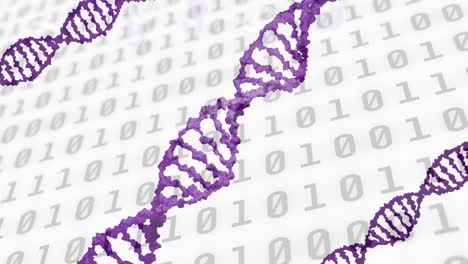 Animation-of-data-processing-and-dna-strand-on-white-background