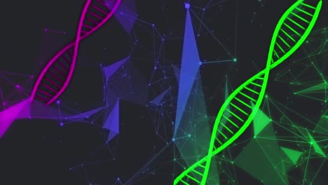 Animation-Von-Verbindungsnetzwerken-Und-Sich-Drehenden-DNA-Strängen