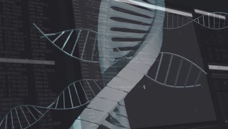 Multiple-dna-structures-floating-against-data-processing-on-black-background