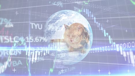 Animation-of-financial-data-processing-and-globe-over-cat