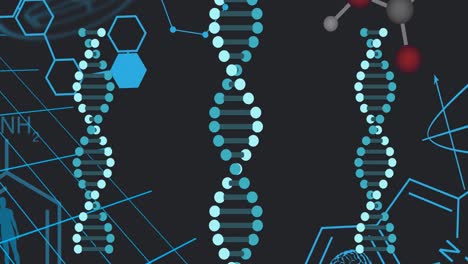 Animation-of-scientific-data-processing-and-dna-strands-spinning