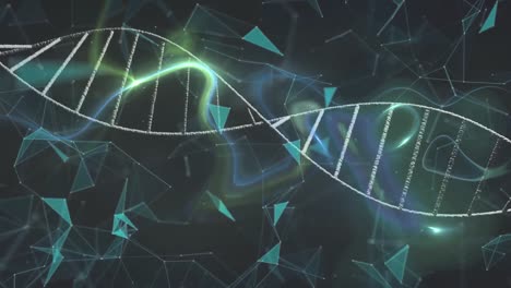 Animation-Von-Verbindungsnetzwerken-Und-DNA-Strangspinnen