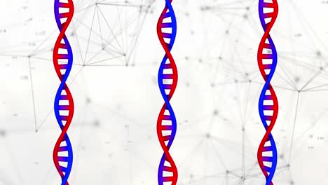 Animation-of-dna-strands-on-white-background