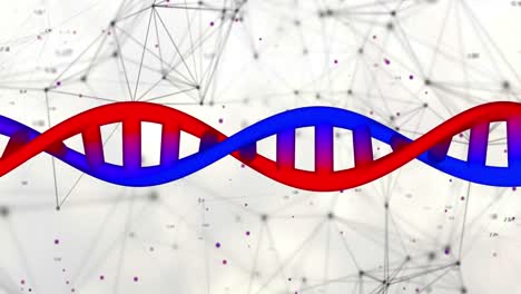 Animation-Von-DNA-Strängen-Auf-Weißem-Hintergrund