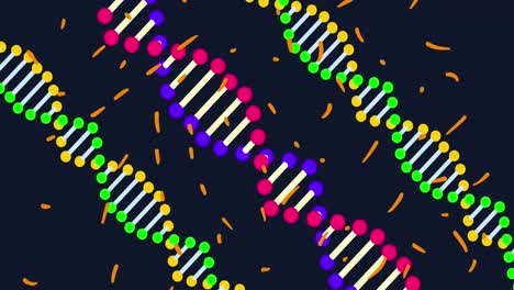 Animation-Bunter-DNA-Stränge-Mit-Orangefarbenen-Flecken-Auf-Schwarzem-Hintergrund