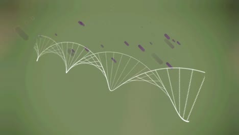 Animation-Eines-DNA-Strangs,-Der-Sich-über-Grauem-Hintergrund-Dreht