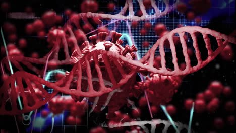 Animation-Von-DNA-Strängen-Und-Viruszellen-Auf-Schwarzem-Hintergrund