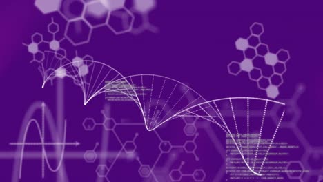 Animation-of-science-data-processing-over-purple-background