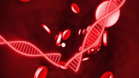 Animation-of-dna-strands-and-blood-cells-on-red-background
