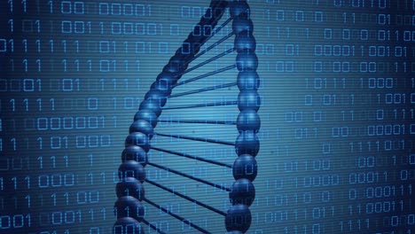 Animation-Von-DNA,-Die-Sich-über-Binärcode-Auf-Blauem-Hintergrund-Dreht