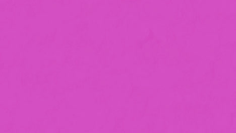 Animation-Von-Wow-Text-Und-Blumen-Auf-Violettem-Hintergrund
