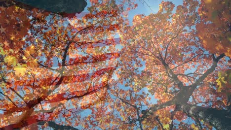 Animation-of-autumn-leaves-falling-over-flag-of-usa-and-trees