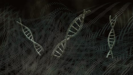 Animation-Von-Formen,-Die-Sich-über-DNA-Stränge-Bewegen