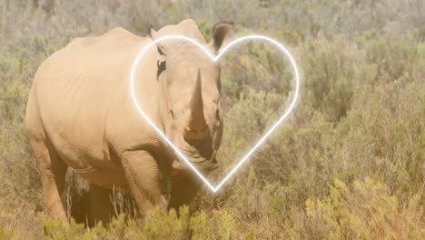 Animation-of-heart-over-rhino-on-savanna