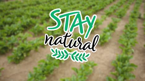 Animation-of-stay-natural-text-over-plants