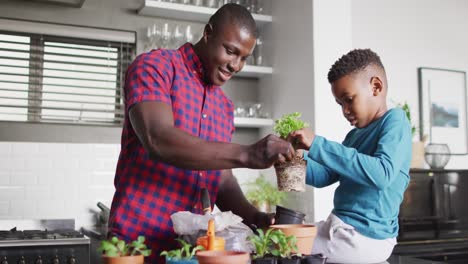 Video-Eines-Glücklichen-Afroamerikanischen-Vaters-Und-Sohnes,-Der-Zu-Hause-Blumen-Pflanzt