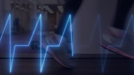 Animation-Eines-Kardiographen-über-Sportler,-Die-Trainieren