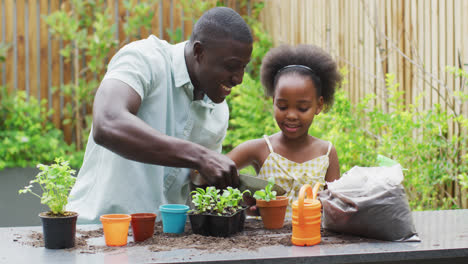 Video-Eines-Afroamerikanischen-Vaters-Und-Seiner-Tochter,-Die-Pflanzen-Pflanzen