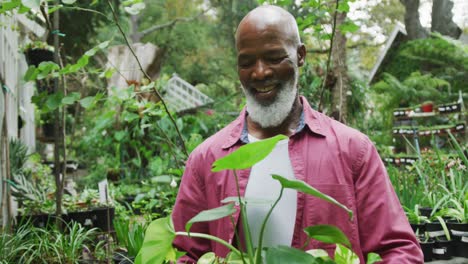 Porträt-Eines-Glücklichen-älteren-Afroamerikanischen-Mannes,-Der-Pflanzen-Hält-Und-Im-Garten-Simelt