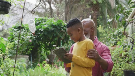 Glücklicher-älterer-Afroamerikanischer-Mann-Mit-Seinem-Enkel,-Der-Pflanzen-Betrachtet-Und-Ein-Tablet-Im-Garten-Benutzt