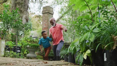 Happy-senior-african-american-man-with-his-grandson-walking-and-looking-at-plants-in-garden