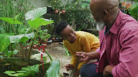 Happy-senior-african-american-man-with-his-grandson-looking-at-plants-in-garden