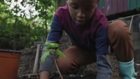 Glücklicher-Afroamerikanischer-Junge,-Der-Pflanze-Im-Garten-Pflanzt