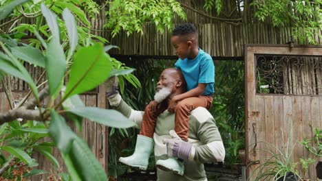 Glücklicher-älterer-Afroamerikanischer-Mann-Mit-Seinem-Enkel,-Der-Pflanzen-Im-Garten-Betrachtet