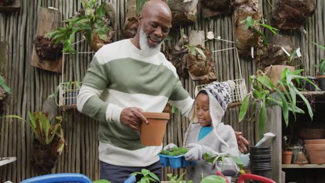 Portrait-of-happy-senior-african-american-man-with-his-grandson-potting-up-plants-in-garden