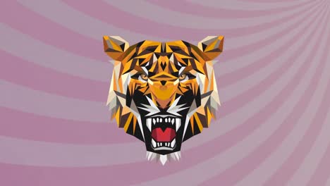Animation-of-tiger-head-icon-over-stripes-on-purple-background