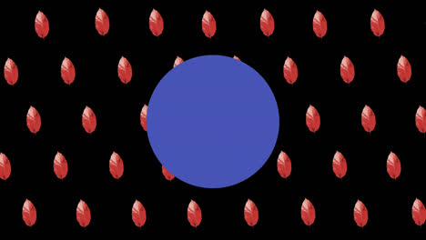 Animation-of-red-drops-and-blue-circle-moving-on-black-background